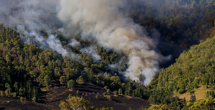  Orman yangınlarının 2050’ye kadar yüzde 30 artması öngörülüyor