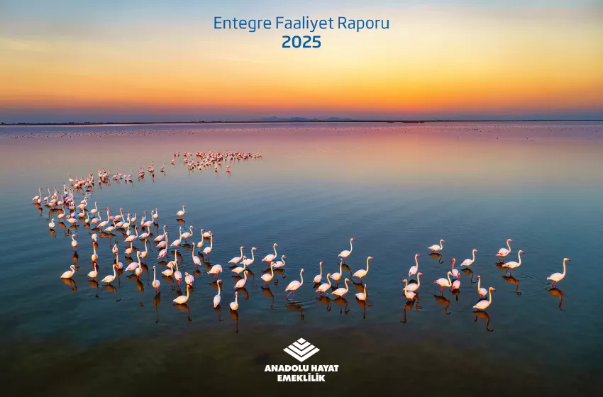  Anadolu Hayat Emeklilik 2025 yılı Entegre Faaliyet Raporunu yayımladı