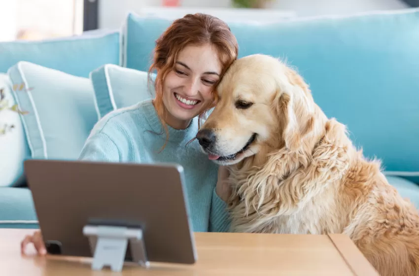  Evcil hayvan sigortasında pazar 27 milyar dolara ulaşıyor