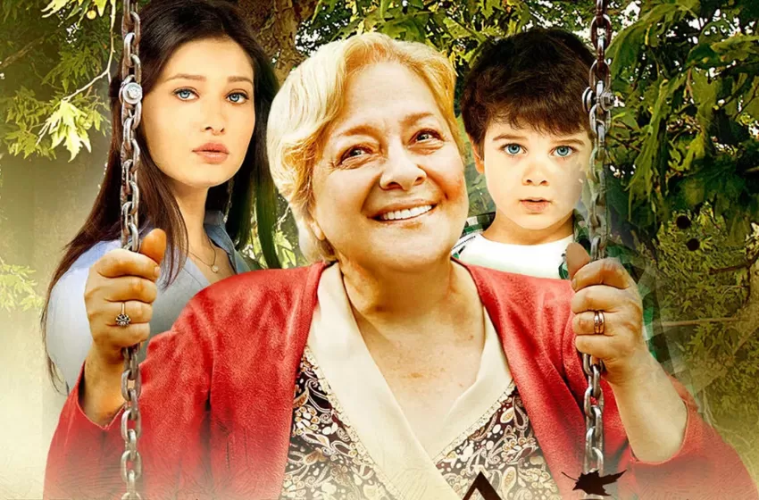  Çınar Ağacı