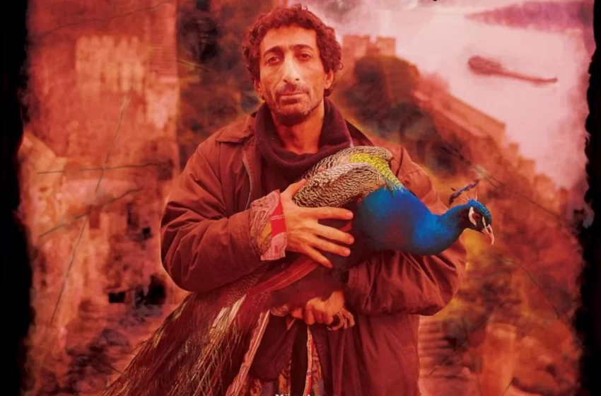  Tabutta Rövaşata